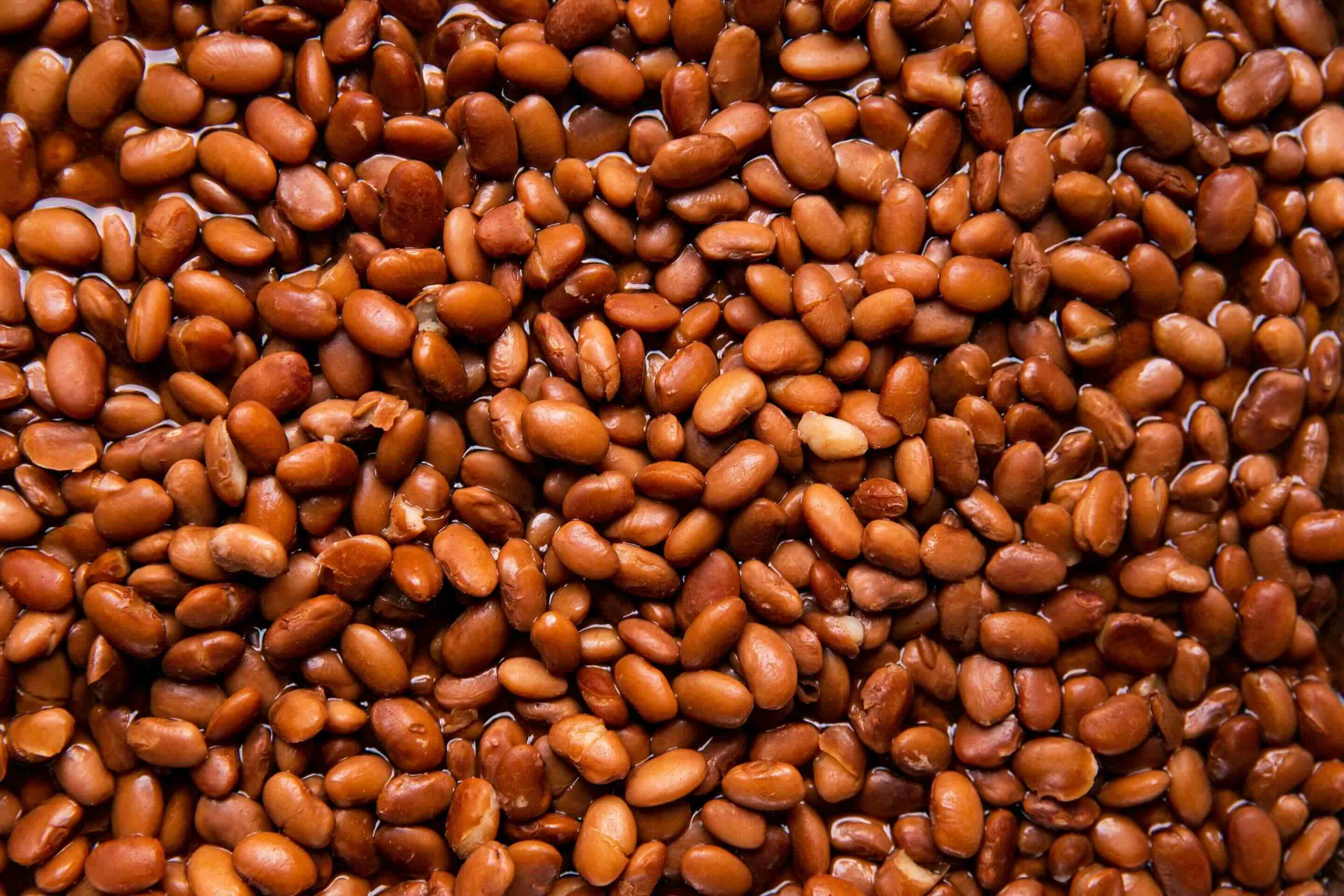 Cooked pinto beans / Frijoles cocidos.